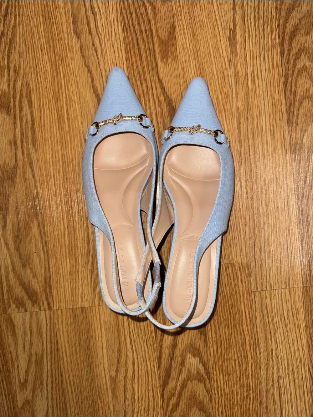 Streetwear Society Light Blue Pointed Slingback Flats with Gold Hardware